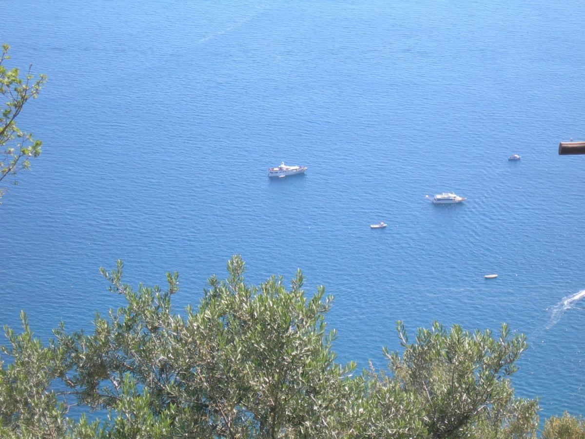 Fattoria La Tagliata Bed & Breakfast Positano Eksteriør bilde