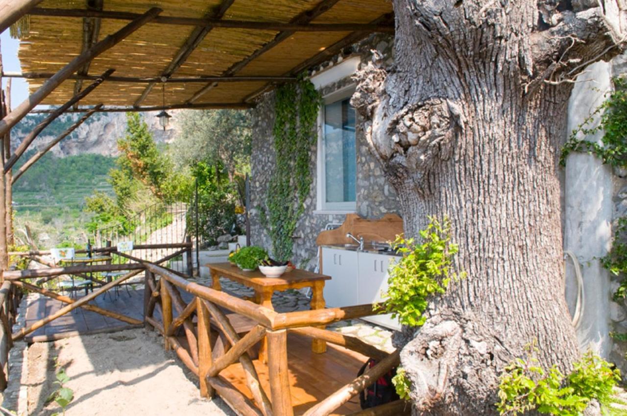 Fattoria La Tagliata Bed & Breakfast Positano Eksteriør bilde
